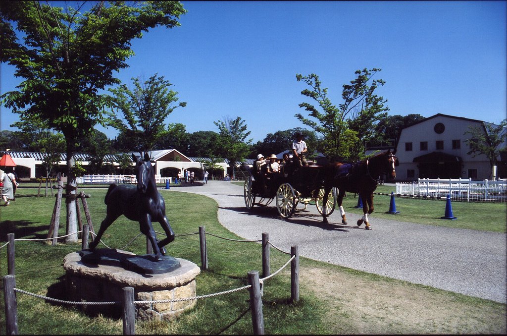 🐎 미키 호스랜드 파크 (미키 호스란도파쿠) 이미지 8